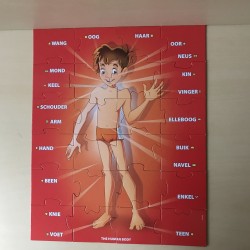 Het menselijk lichaam.