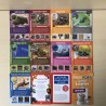 Weetjes kwartet : Dieren Poep weetjes.