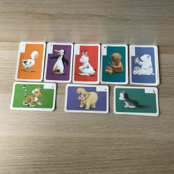 Kleine ijsbeer : kwartet. Plaatsjes.
