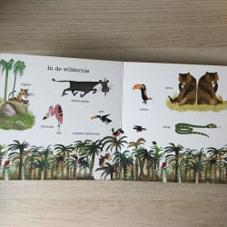 Het nog grotere Fiep kijkboek