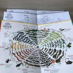 De geluksvogels. Geluk voor kinderen. Het spel.