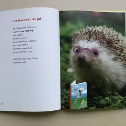 Zwijsen AVI 1 kanjer. Hup haas hup!