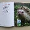 Zwijsen AVI 1 kanjer. Hup haas hup!
