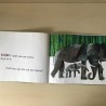 Eric Carle : Heeft een kangoeroe een mama?