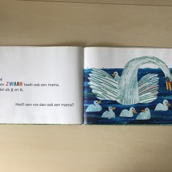 Eric Carle : Heeft een kangoeroe een mama?