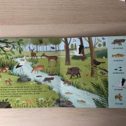 Mijn eerste zoekboek. Dieren bij het water.