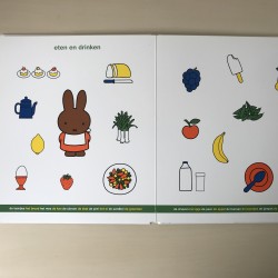 Nijntje aanwijsboek, groot formaat