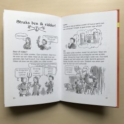 Het allesboek over ridders