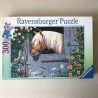 Bij de paardenstal. 300 stukjes