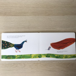 Eric Carle : Wil je mijn vriendje zijn?