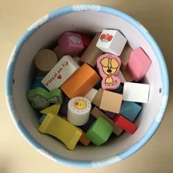 Woezel en Pip : 50 Houten blokken