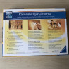 Ravensburger Comic. Hollywood.  1000 stukjes.
