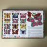 Memo : Vlinders en spinnen. Butterflies and a spider.