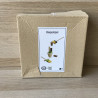 Plan Toys : stapelspel