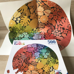Circle of colours . 500 stukjes rond