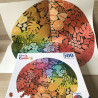 Circle of colours . 500 stukjes rond