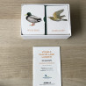 Memo : Vogels van de lage landen