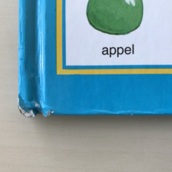 De eerste honderd woorden