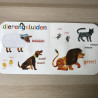 Eric Carle : Rupsje Nooitgenoeg Voelboek