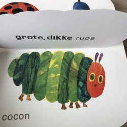 Eric Carle : Rupsje Nooitgenoeg Voelboek