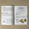 Haba : Boomgaard, het memospel.