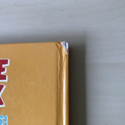 Het grote zoekboek voor kleine speurders. In het pretpark