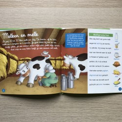 Dieren in de wei : De koe