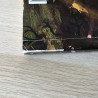 Olle de regenworm