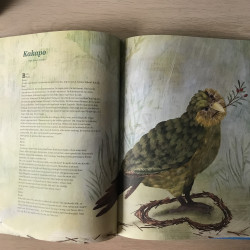Een kleine geschiedenis van de mens door dierenogen.