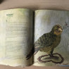 Een kleine geschiedenis van de mens door dierenogen.