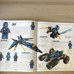 Lego Ninjago : De complete gids - popje