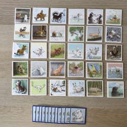 Kleine IJsbeer. Memo-spel
