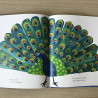 Eric Carle : Ijbeer, ijsbeer, wat hoor jij daar?