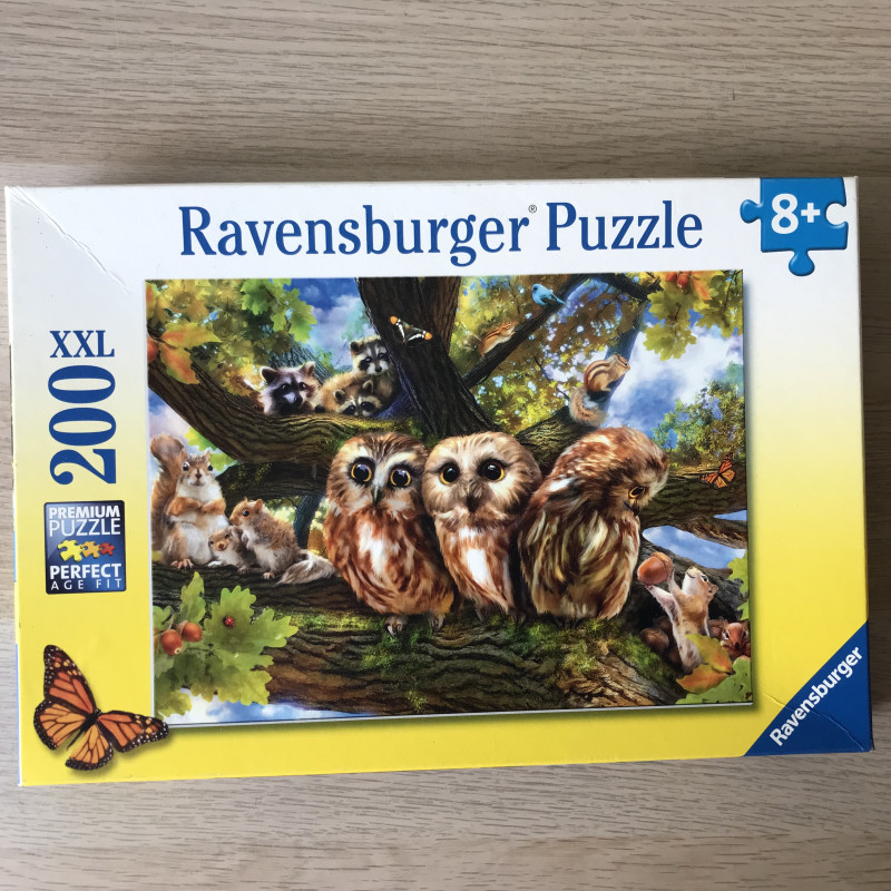 Schattige uilen : 200 XXL