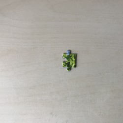 Disneyland  Parijs. 1000 stukjes. Lees tekst