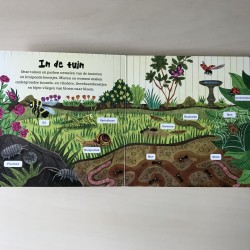 De wereld om ons heen:Insecten