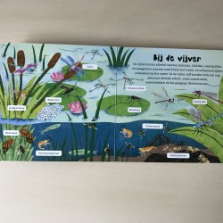 De wereld om ons heen:Insecten