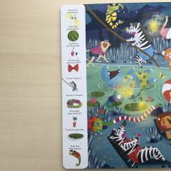 Mijn groot zoekboek in de jungle