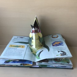 sharks / haaien. Met uitklapelementen