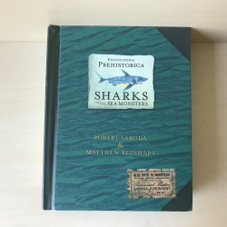 sharks / haaien. Met uitklapelementen