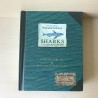 sharks / haaien. Met uitklapelementen