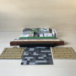 Minecraft : Builders & Biomes.