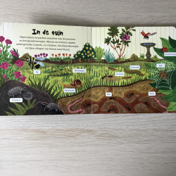 De wereld om ons heen:Insecten