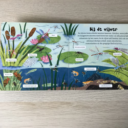 De wereld om ons heen:Insecten