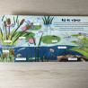 De wereld om ons heen:Insecten