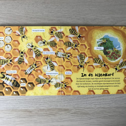 De wereld om ons heen:Insecten