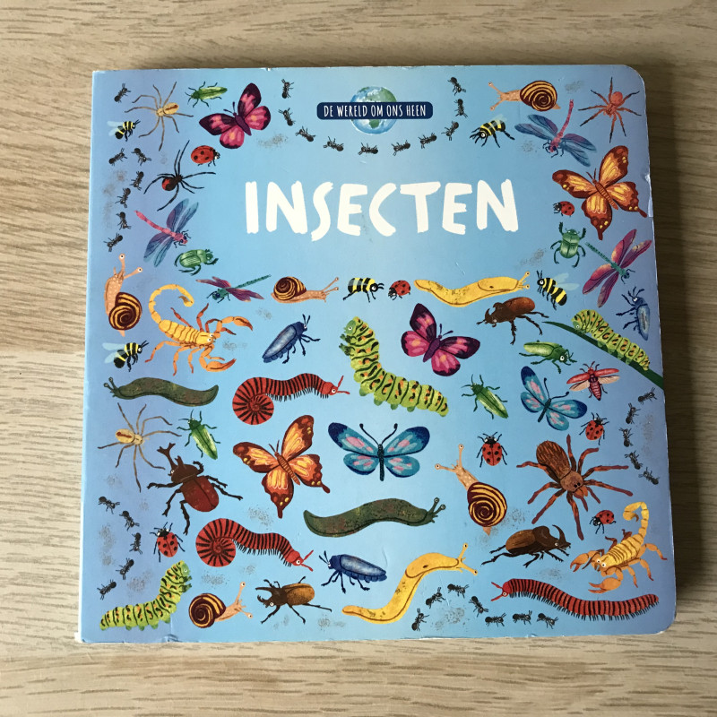 De wereld om ons heen:Insecten