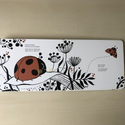 Hé, beestjes! In de tuin