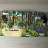 De wereld om ons heen:jungle