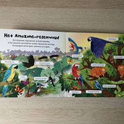 De wereld om ons heen:jungle